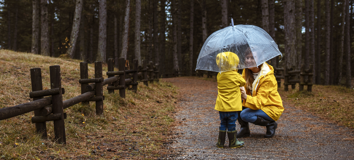 Michigan Umbrella Insurance Coverage